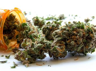 medical marijuana health insurance