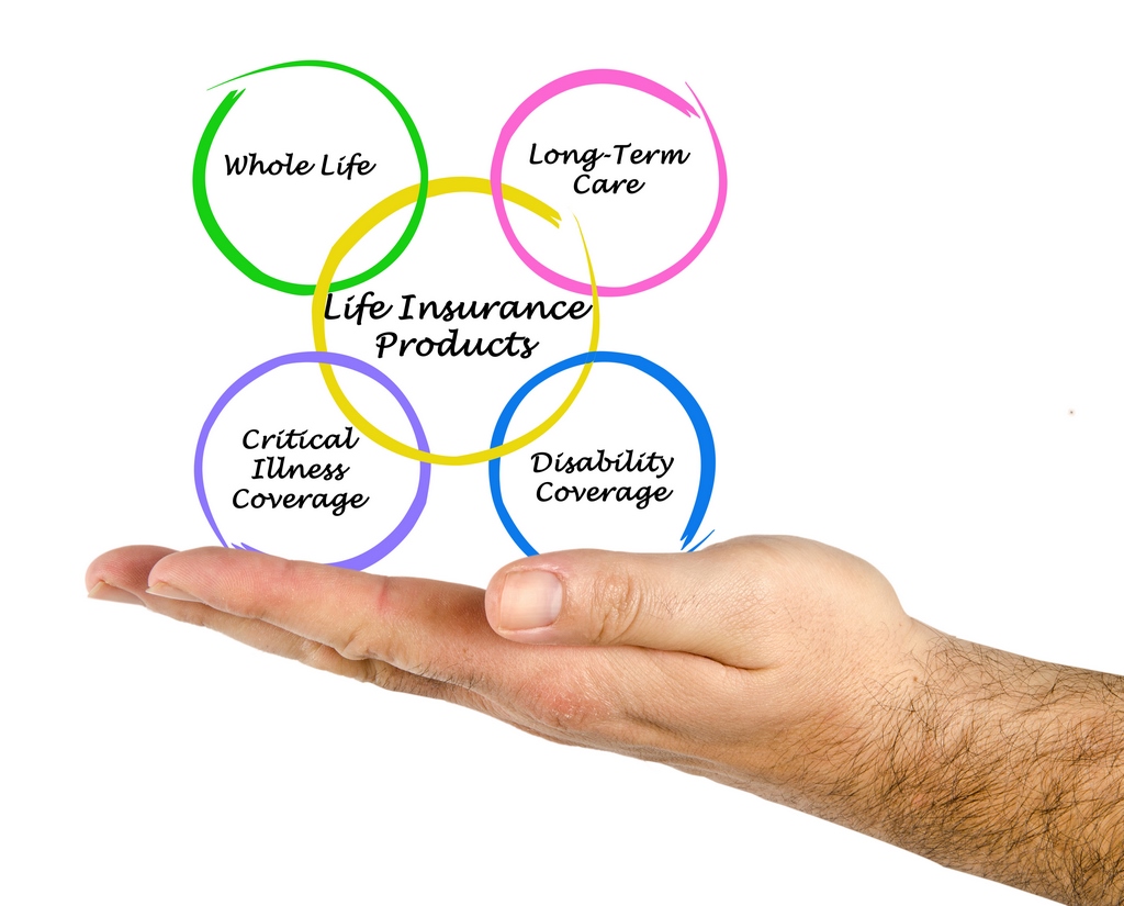 What Are the Different Types of Life Insurance Policies ...