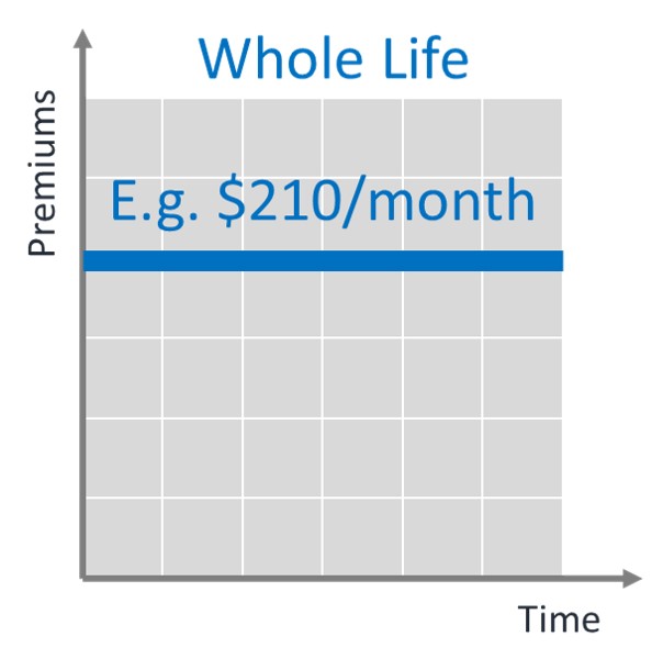 Term vs. Whole Life Insurance Compared Costs, Tips, Traps