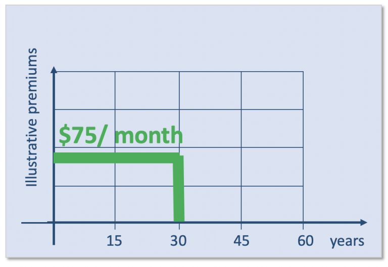 30 Year Level Term Life Insurance